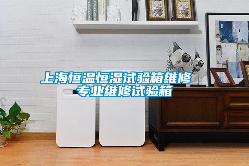 上海恒溫恒濕試驗(yàn)箱維修 專業(yè)維修試驗(yàn)箱