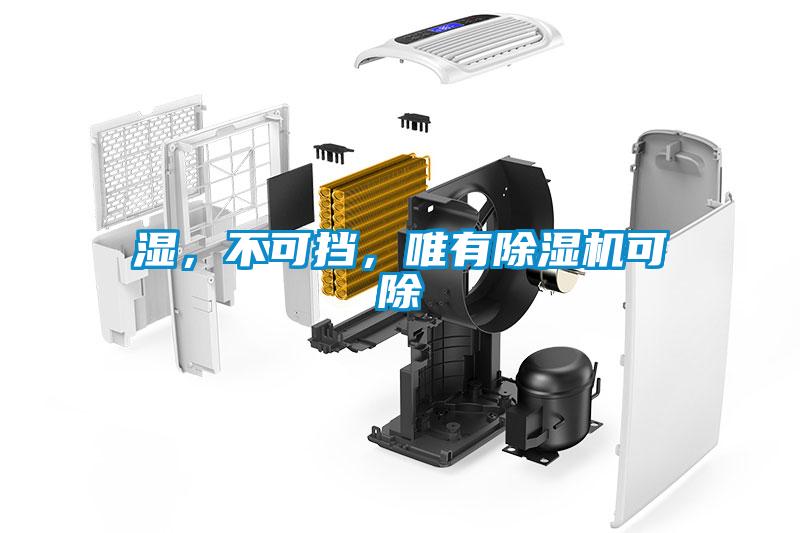 濕,不可擋,唯有除濕機(jī)可除