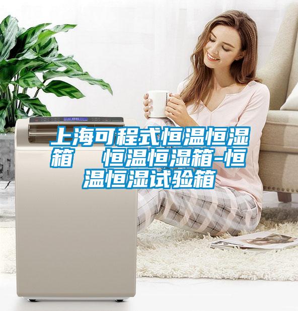 上?？沙淌胶銣睾銤裣? 恒溫恒濕箱-恒溫恒濕試驗箱