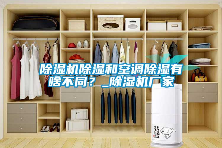 除濕機(jī)除濕和空調(diào)除濕有啥不同？_除濕機(jī)廠家