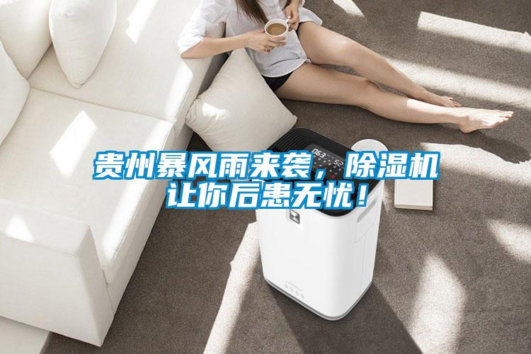 貴州暴風雨來襲,除濕機讓你后患無憂!