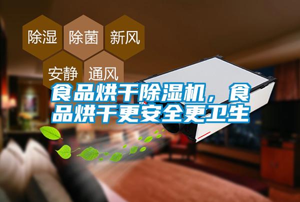 食品烘干除濕機,食品烘干更安全更衛(wèi)生