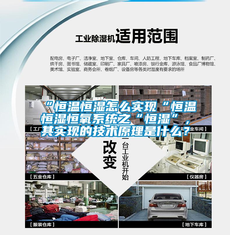 “恒溫恒濕怎么實現“恒溫恒濕恒氧系統之“恒濕”，其實現的技術原理是什么？