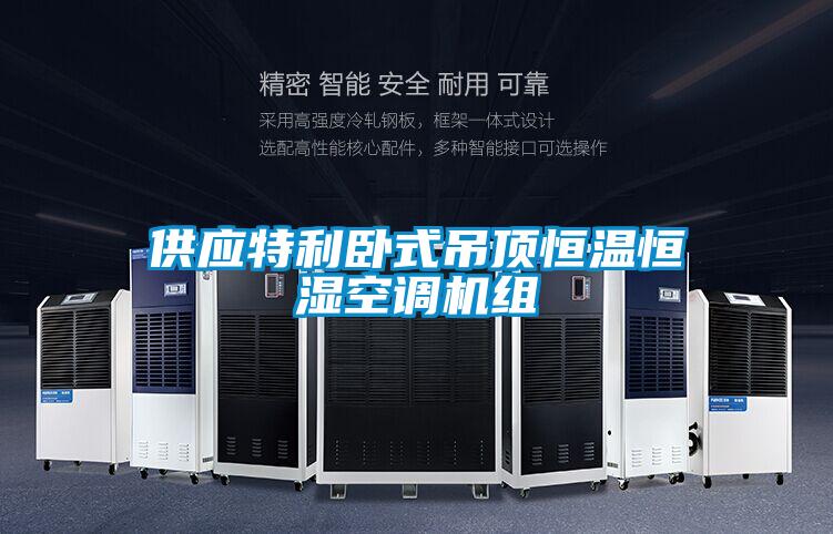 供應(yīng)特利臥式吊頂恒溫恒濕空調(diào)機組