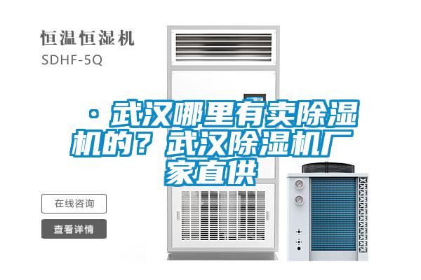 ·武漢哪里有賣除濕機(jī)的?武漢除濕機(jī)廠家直供
