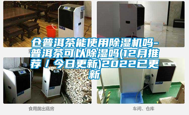 倉普洱茶能使用除濕機嗎-普洱茶可以除濕嗎(12月推薦/今日更新)2022已更新