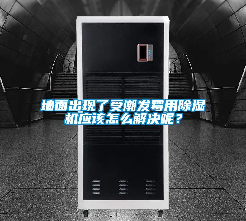 墻面出現(xiàn)了受潮發(fā)霉用除濕機應該怎么解決呢？