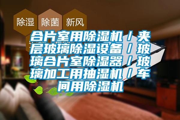 合片室用除濕機/夾層玻璃除濕設備/玻璃合片室除濕器/玻璃加工用抽濕機/車間用除濕機