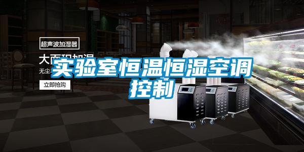 實驗室恒溫恒濕空調控制