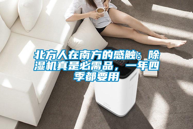 北方人在南方的感觸:除濕機真是必需品,一年四季都要用