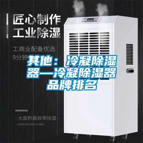 其他:冷凝除濕器—冷凝除濕器品牌排名