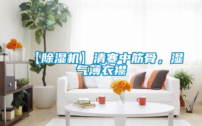 【除濕機】清寒中筋骨，濕氣薄衣襟