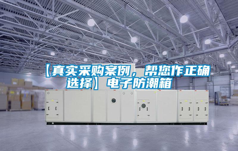 【真實采購案例,幫您作正確選擇】電子防潮箱