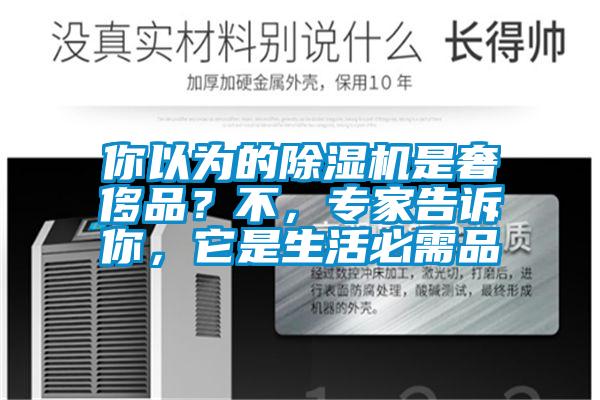 你以為的除濕機是奢侈品？不，專家告訴你，它是生活必需品
