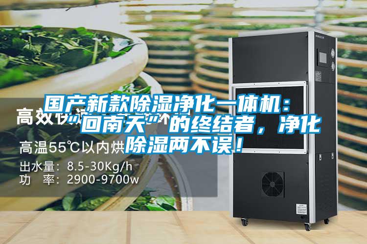 國產(chǎn)新款除濕凈化一體機(jī):“回南天”的終結(jié)者,凈化除濕兩不誤!