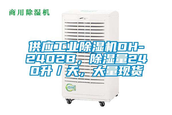 供應(yīng)工業(yè)除濕機(jī)DH-2402B,除濕量240升/天,大量現(xiàn)貨