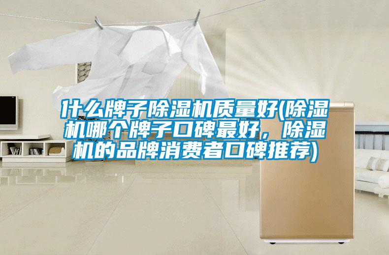 什么牌子除濕機質量好(除濕機哪個牌子口碑最好，除濕機的品牌消費者口碑推薦)