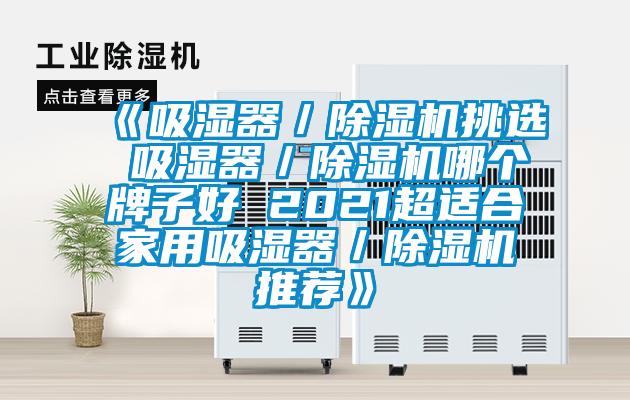 《吸濕器/除濕機挑選 吸濕器/除濕機哪個牌子好 2021超適合家用吸濕器/除濕機推薦》