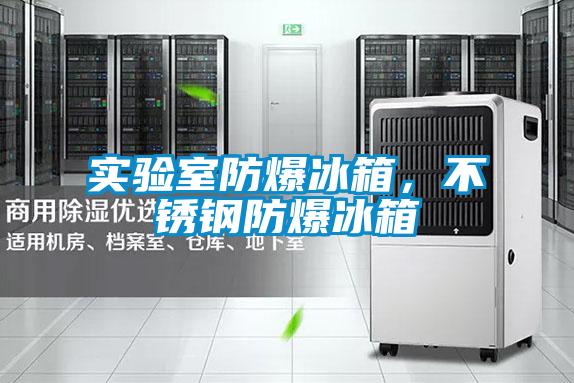 實(shí)驗(yàn)室防爆冰箱，不銹鋼防爆冰箱