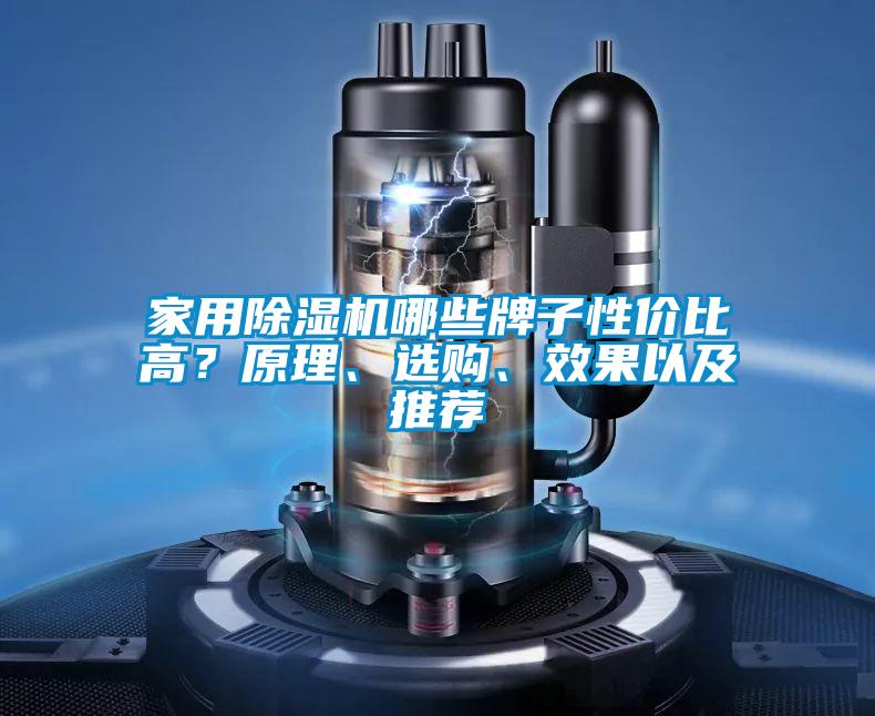 家用除濕機哪些牌子性價比高？原理、選購、效果以及推薦