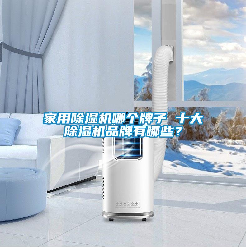 家用除濕機(jī)哪個牌子 十大除濕機(jī)品牌有哪些?
