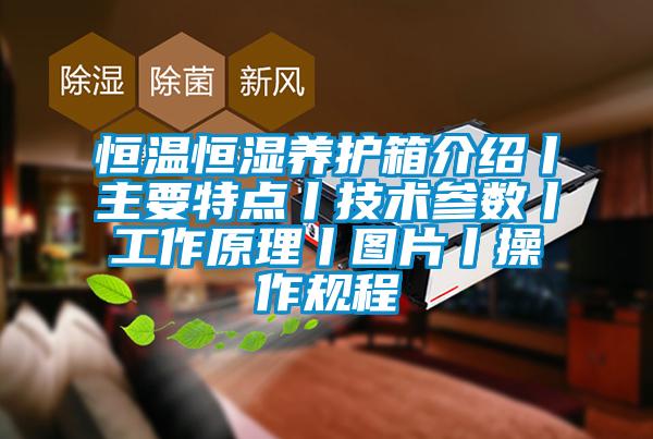 恒溫恒濕養(yǎng)護箱介紹丨主要特點丨技術(shù)參數(shù)丨工作原理丨圖片丨操作規(guī)程