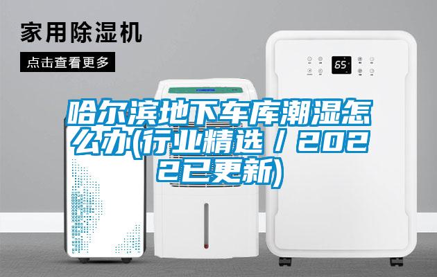哈爾濱地下車庫(kù)潮濕怎么辦(行業(yè)精選/2022已更新)