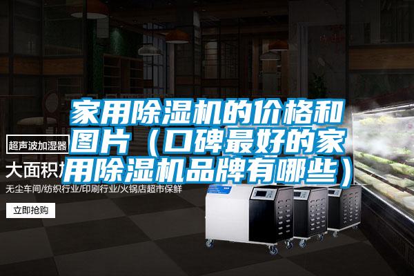 家用除濕機的價格和圖片(口碑最好的家用除濕機品牌有哪些)