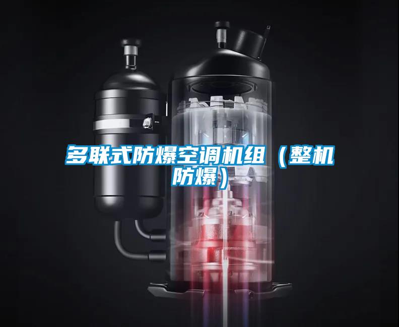 多聯式防爆空調機組(整機防爆)