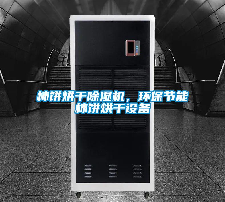 柿餅烘干除濕機,環保節能柿餅烘干設備