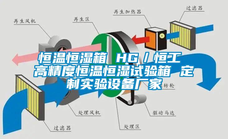 恒溫恒濕箱 HG/恒工 高精度恒溫恒濕試驗(yàn)箱 定制實(shí)驗(yàn)設(shè)備廠家