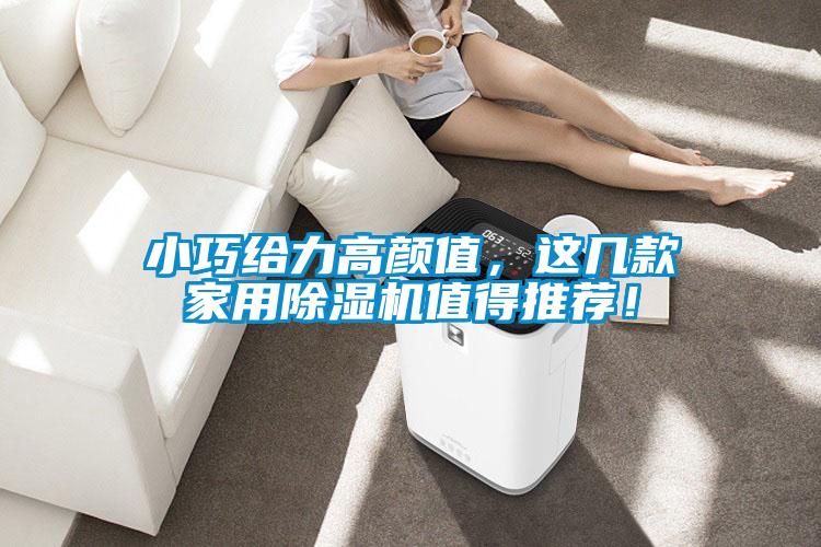 小巧給力高顏值,這幾款家用除濕機值得推薦!