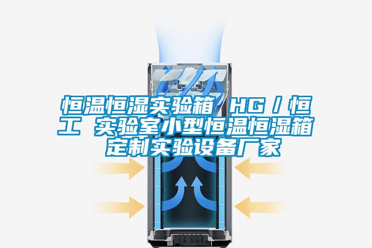 恒溫恒濕實驗箱 HG/恒工 實驗室小型恒溫恒濕箱 定制實驗設備廠家