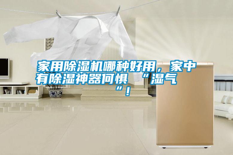 家用除濕機哪種好用,家中有除濕神器何懼 “濕氣 “!