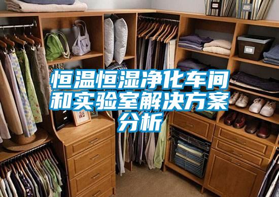 恒溫恒濕凈化車間和實(shí)驗(yàn)室解決方案分析