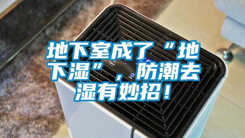 地下室成了“地下濕”，防潮去濕有妙招！