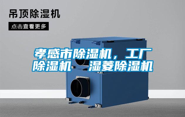 孝感市除濕機,工廠除濕機 濕菱除濕機