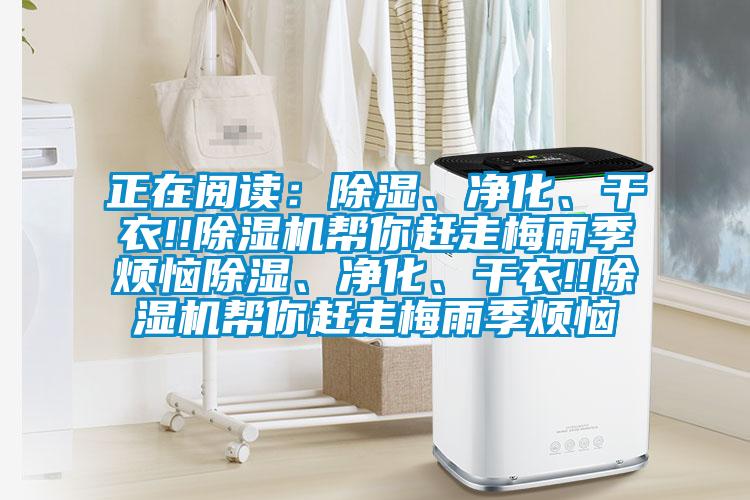 正在閱讀：除濕、凈化、干衣!!除濕機幫你趕走梅雨季煩惱除濕、凈化、干衣!!除濕機幫你趕走梅雨季煩惱
