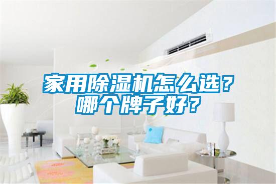 家用除濕機(jī)怎么選?哪個(gè)牌子好?