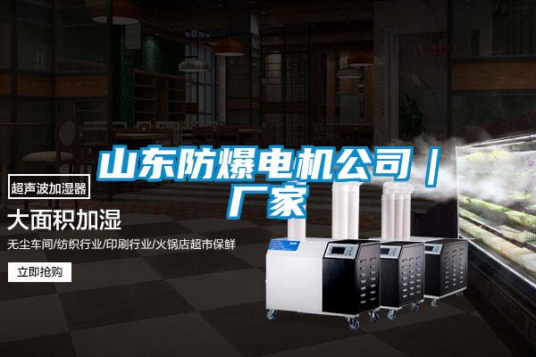 山東防爆電機(jī)公司|廠家