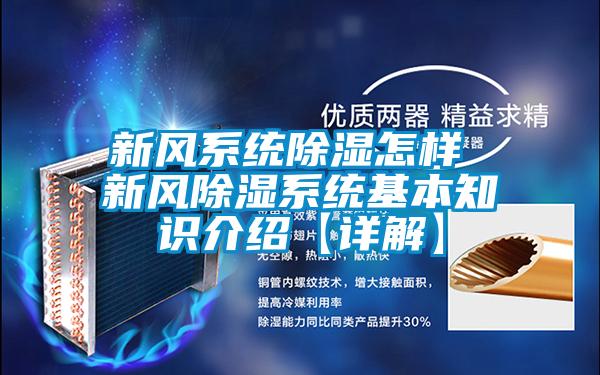 新風(fēng)系統(tǒng)除濕怎樣 新風(fēng)除濕系統(tǒng)基本知識(shí)介紹【詳解】