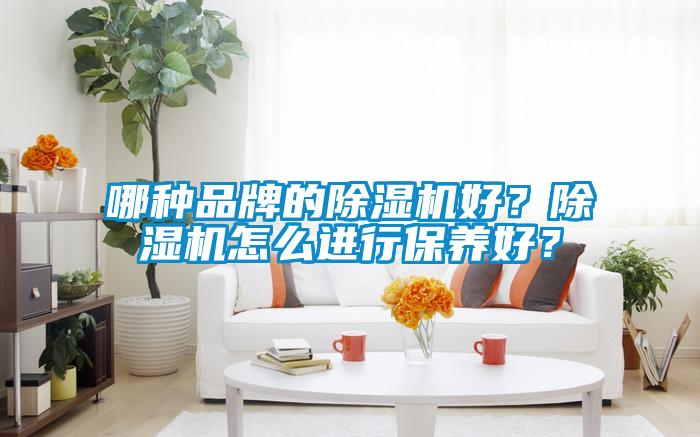 哪種品牌的除濕機好?除濕機怎么進行保養(yǎng)好?