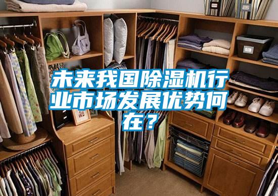 未來(lái)我國(guó)除濕機(jī)行業(yè)市場(chǎng)發(fā)展優(yōu)勢(shì)何在?