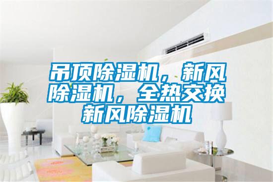 吊頂除濕機(jī),新風(fēng)除濕機(jī),全熱交換新風(fēng)除濕機(jī)