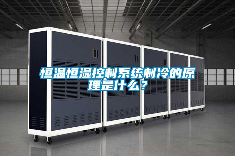 恒溫恒濕控制系統制冷的原理是什么？