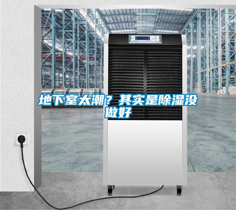 地下室太潮?其實是除濕沒做好