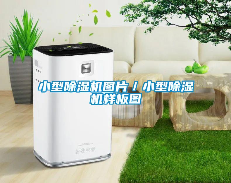 小型除濕機圖片/小型除濕機樣板圖