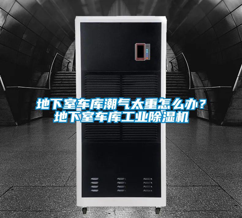 地下室車庫潮氣太重怎么辦？地下室車庫工業(yè)除濕機(jī)