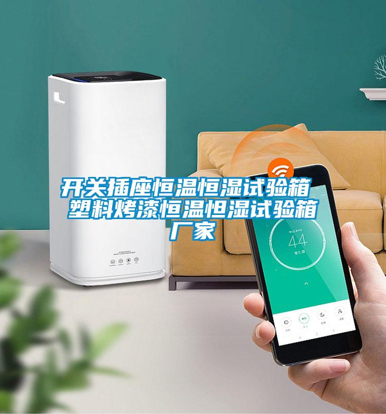 開關插座恒溫恒濕試驗箱 塑料烤漆恒溫怛濕試驗箱廠家