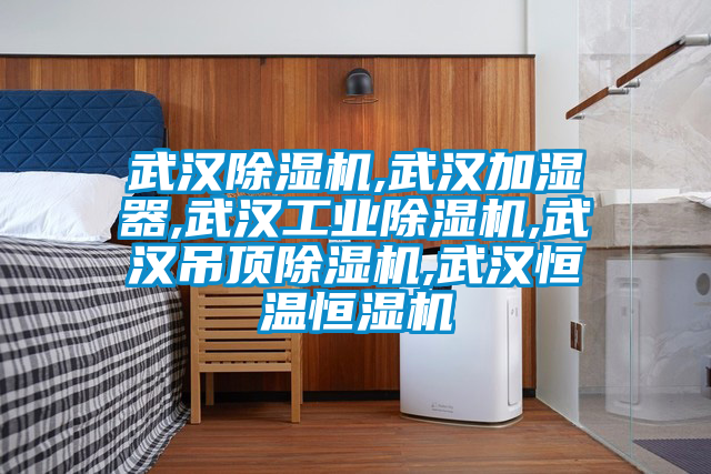 武漢除濕機,武漢加濕器,武漢工業除濕機,武漢吊頂除濕機,武漢恒溫恒濕機